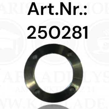 Kolbenstangen Ring d=19.9 L2